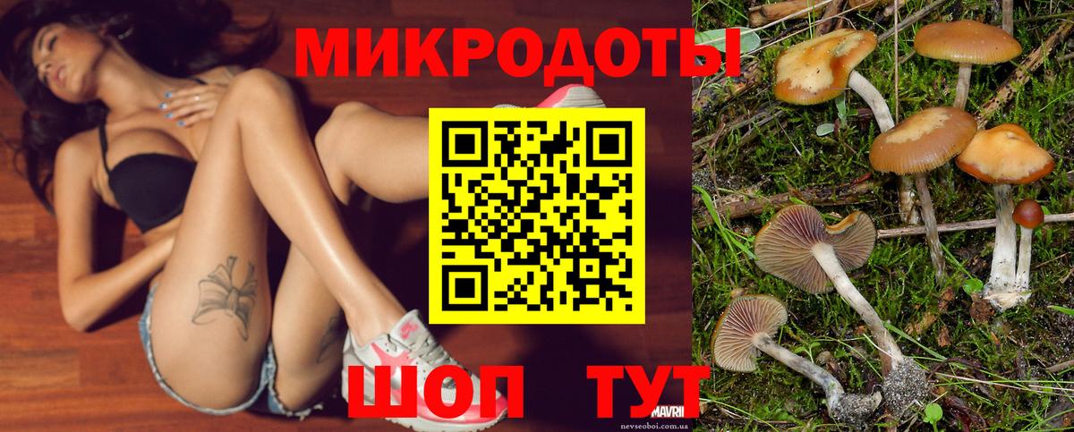 Псилоцибиновые грибы Cubensis  Галлюциногенные грибы Cubensis  Грязи  где купить наркоту  Вход с VPN 